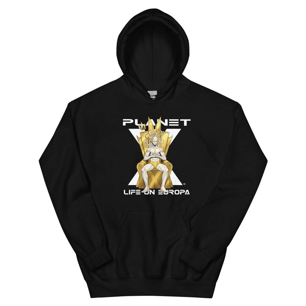 Planet X | Angel | Unisex Heavy Blend Hoodie
